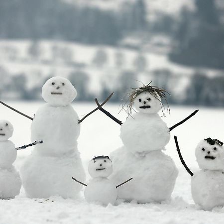 Les Balcons Proche Parc National Vanoise Studios テルミニヨン エクステリア 写真